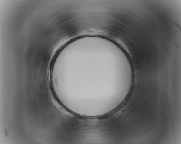 X0000102531080200808081047