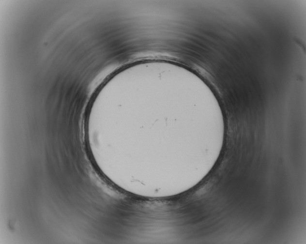 X0000102531082200808081047
