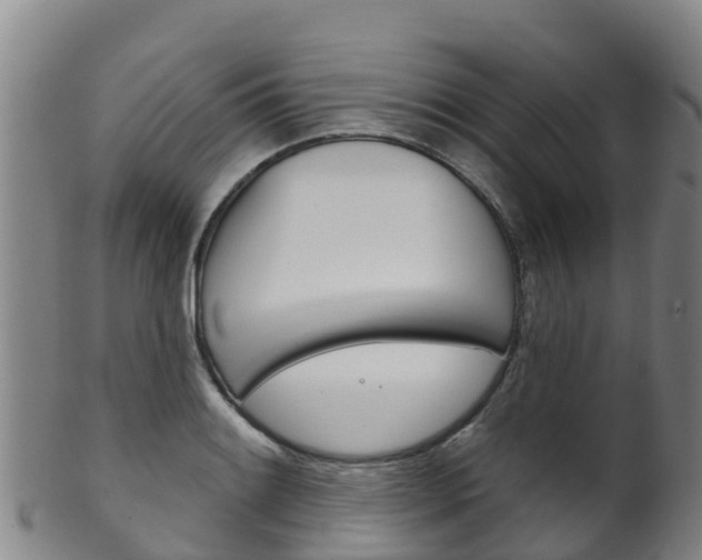 X0000102531084200808081047