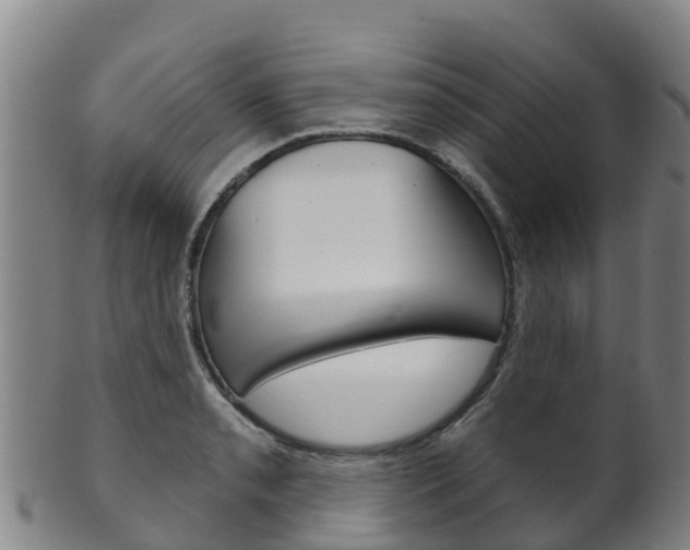 X0000102531085200808081047
