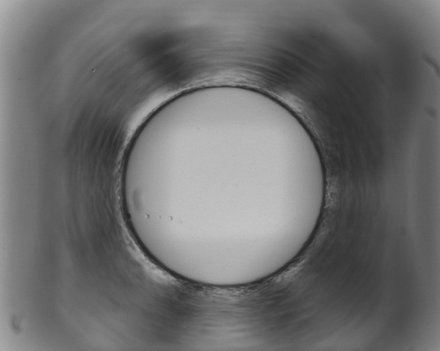 X0000102531086200808081047