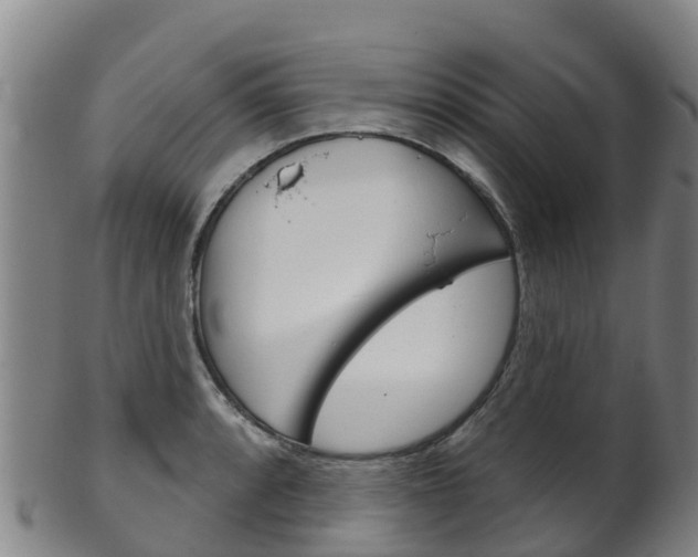 X0000102531088200808081047