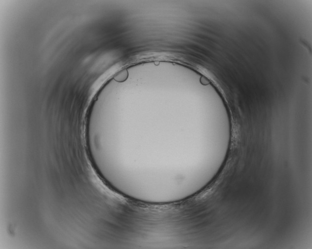 X0000102531090200808081047