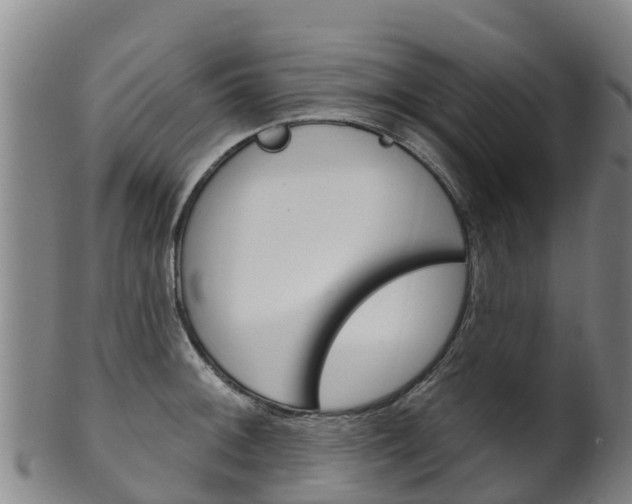 X0000102531092200808081047