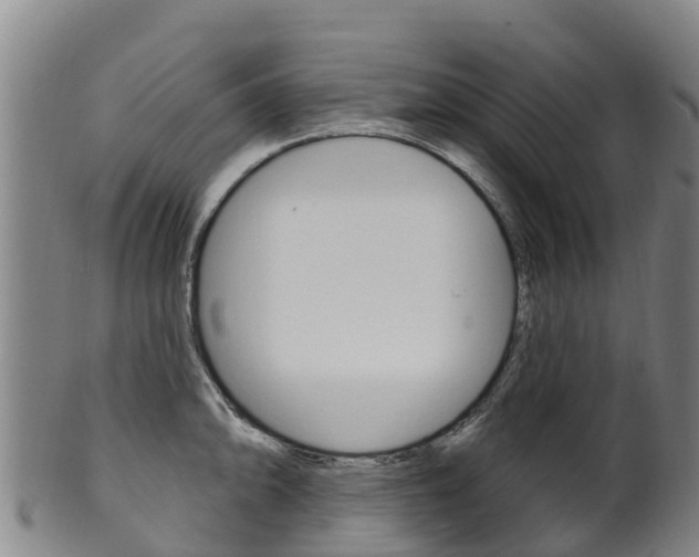 X0000102531094200808081047