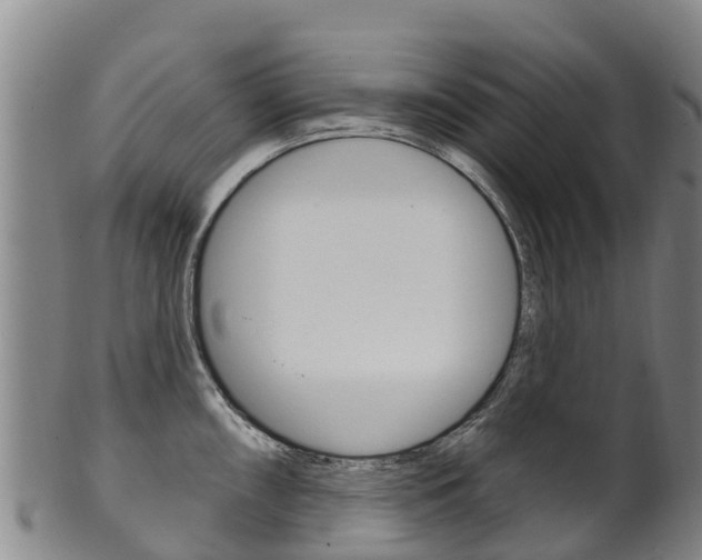 X0000102531098200808081047