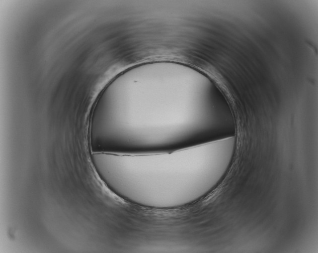 X0000102531102200808081047