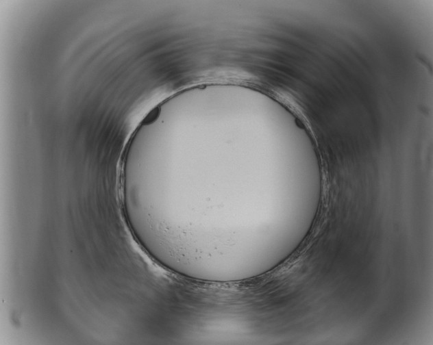 X0000102531103200808081047