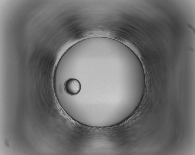 X0000102531104200808081047