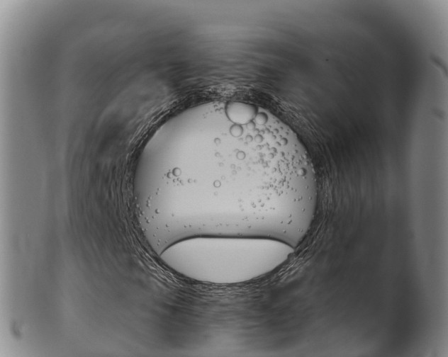 X0000102531105200808081046