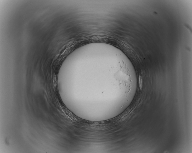 X0000102531107200808081046