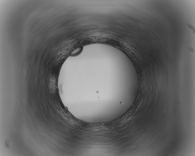 X0000102531108200808081046