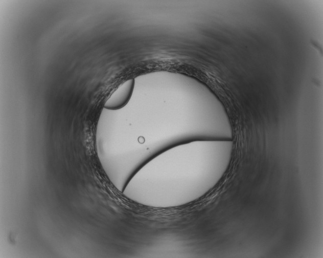 X0000102531109200808081046