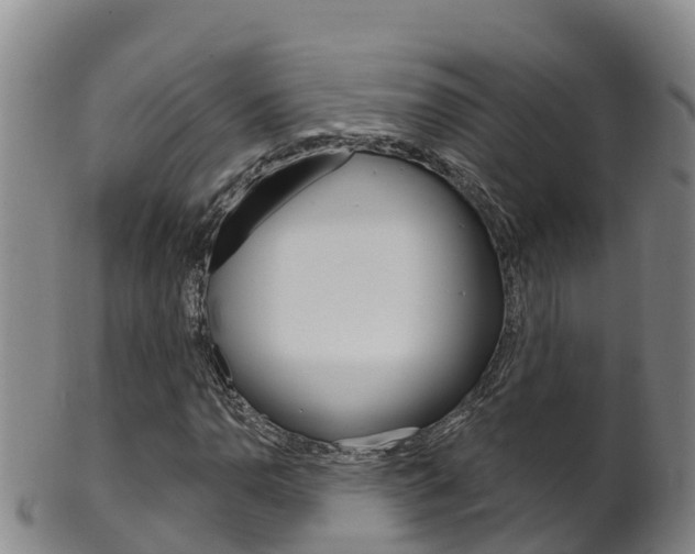 X0000102531110200808081046