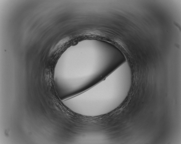 X0000102531111200808081046
