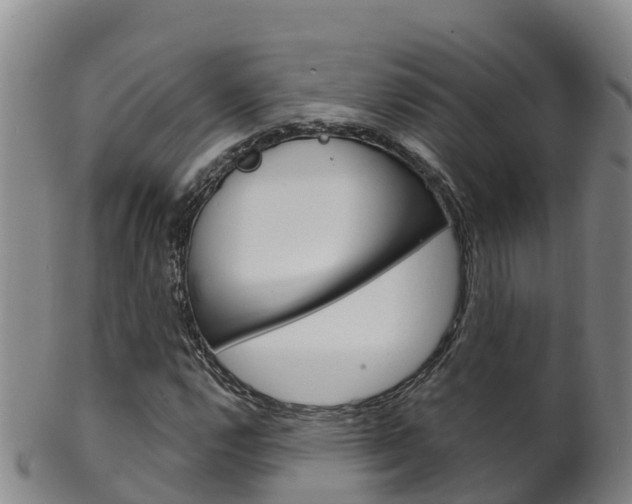 X0000102531112200808081046