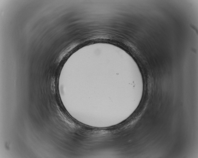 X0000102531113200808081046