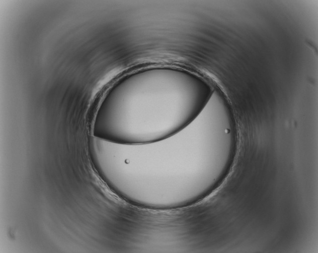 X0000102531114200808081046