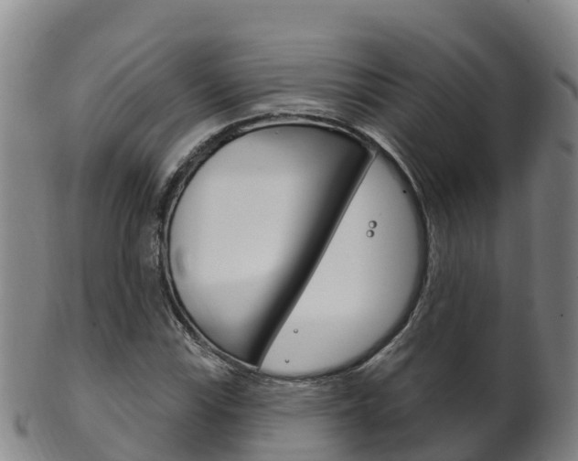 X0000102531115200808081046
