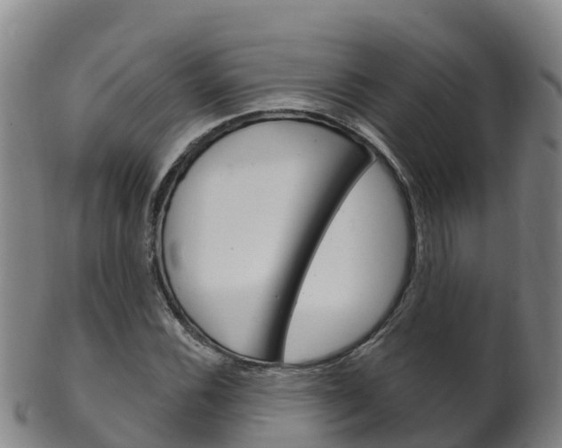 X0000102531116200808081046