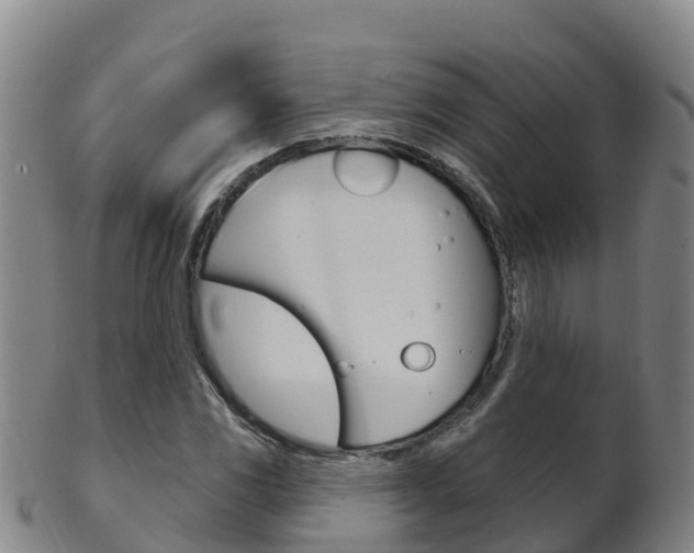 X0000102531117200808081046