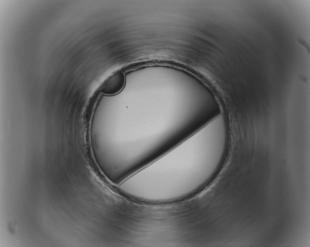 X0000102531118200808081046