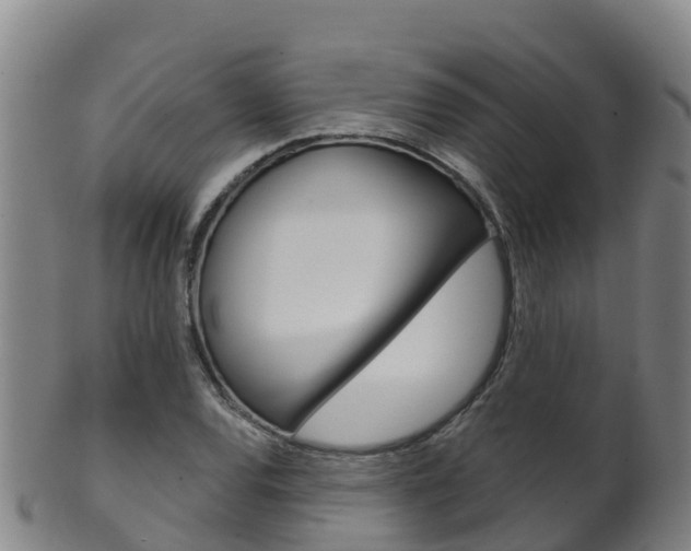 X0000102531120200808081046