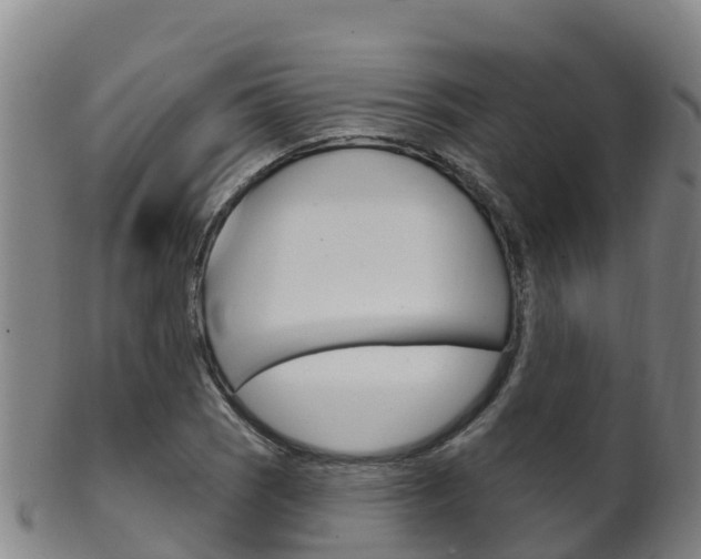 X0000102531121200808081046