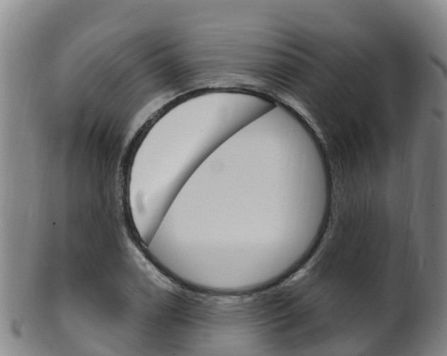 X0000102531122200808081046