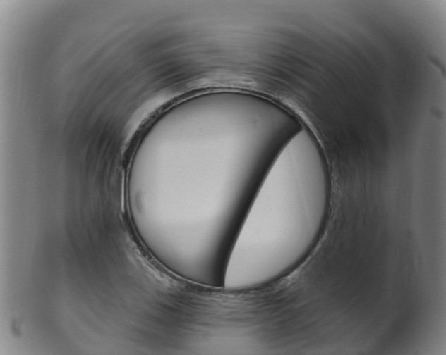 X0000102531123200808081046