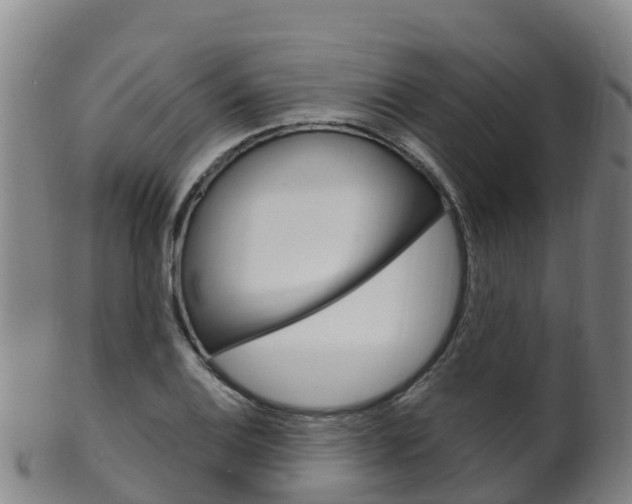 X0000102531124200808081046