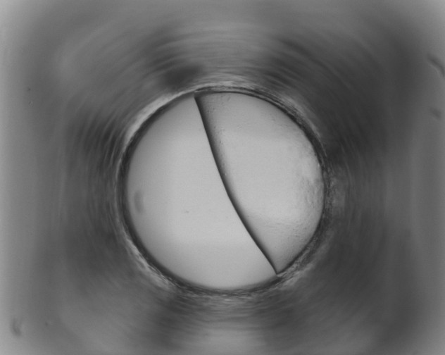 X0000102531125200808081046