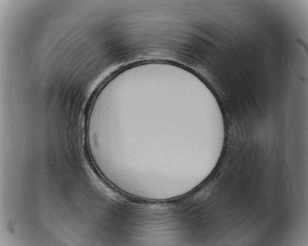 X0000102531126200808081046