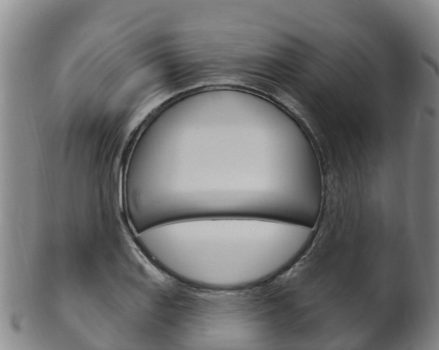 X0000102531127200808081046