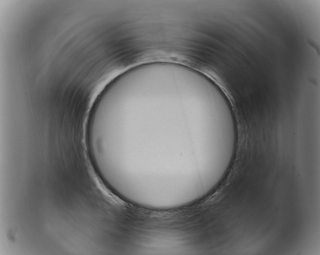 X0000102531128200808081046