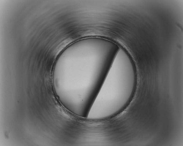 X0000102531129200808081046