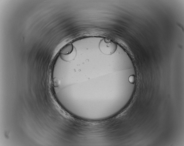 X0000102531130200808081046