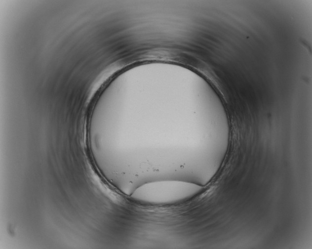 X0000102531131200808081046