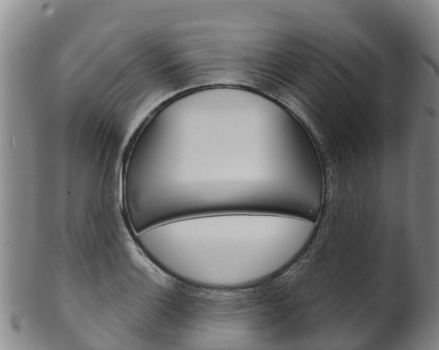 X0000102531132200808081046