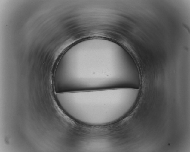 X0000102531133200808081046