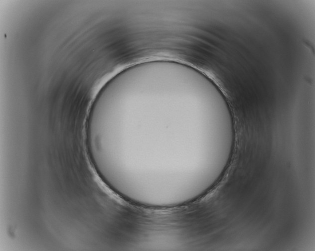 X0000102531134200808081046