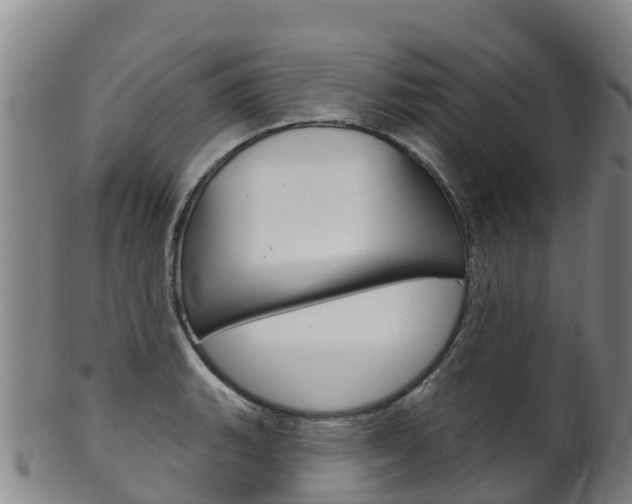 X0000102531135200808081046