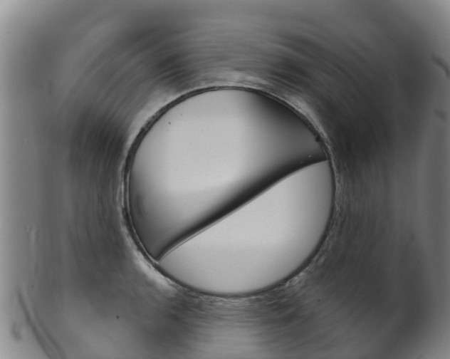 X0000102531136200808081046