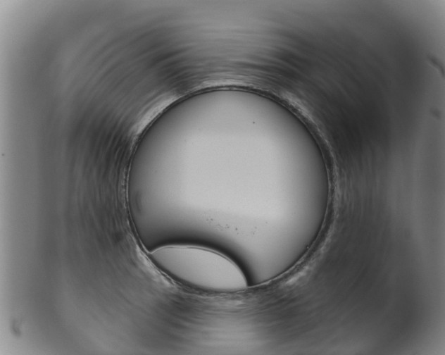 X0000102531137200808081046