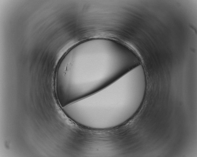X0000102531138200808081046