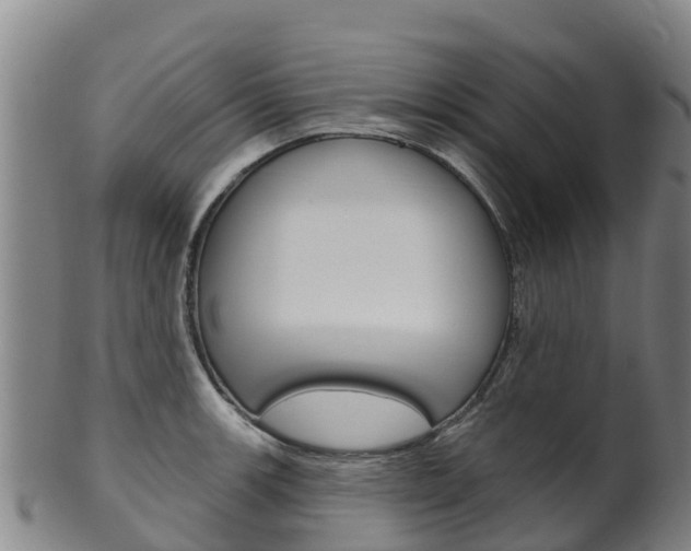 X0000102531139200808081046