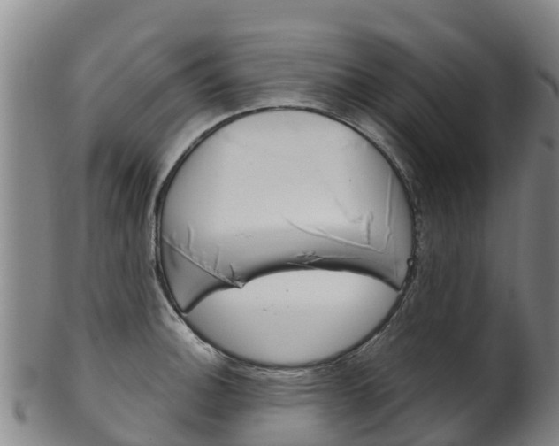 X0000102531140200808081046