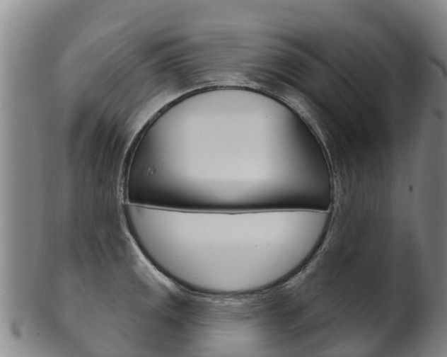 X0000102531141200808081046