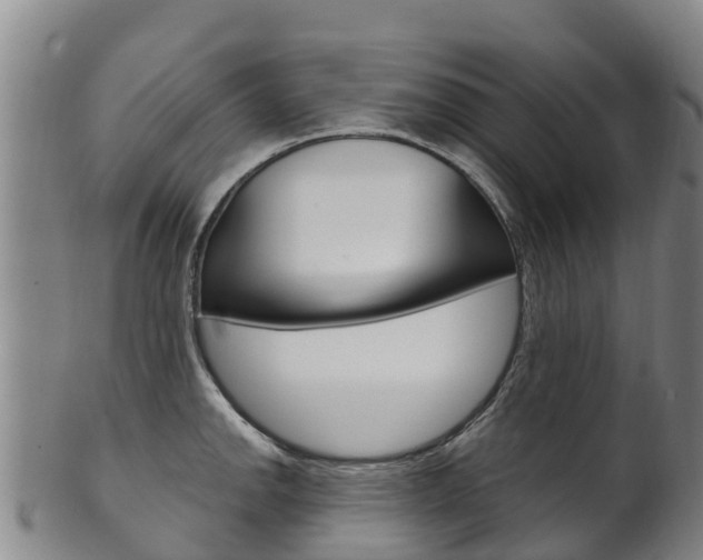 X0000102531142200808081046