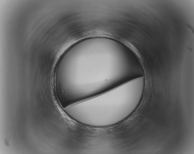 X0000102531144200808081046